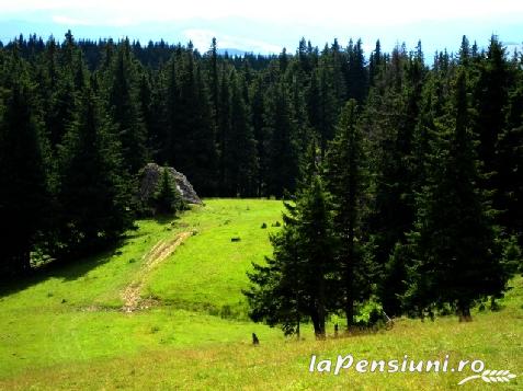 Pensiunea Floare de Crin - cazare Bucovina (Activitati si imprejurimi)