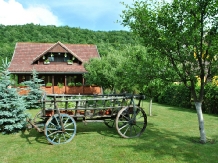 Pensiunea Orban - alloggio in  Harghita Covasna, Odorhei (09)