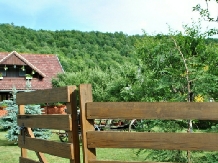 Pensiunea Orban - accommodation in  Harghita Covasna, Odorhei (13)