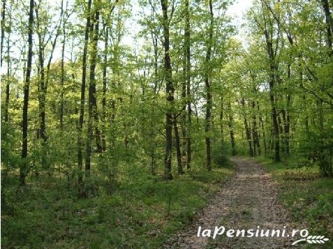 Pensiunea Dracula Danes - cazare Sighisoara (Activitati si imprejurimi)