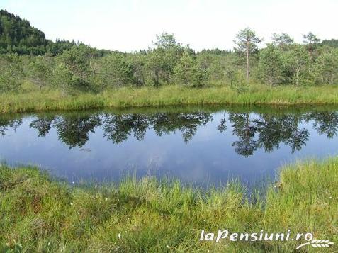 Pensiunea Olt - accommodation in  Harghita Covasna, Tusnad (Surrounding)