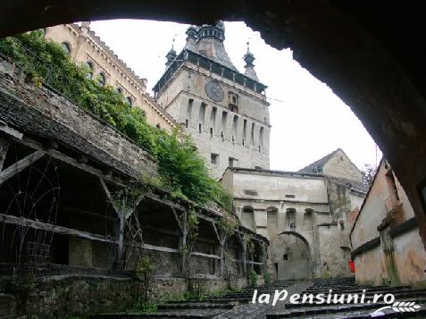 Casa de oaspeti Miclosoara - alloggio in  Harghita Covasna (Attivit&agrave; e i dintorni)