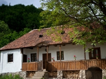 Rural accommodation at  Casa de oaspeti Zalan