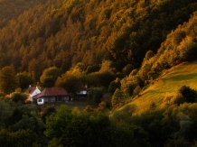 Casa de oaspeti Zalan - alloggio in  Harghita Covasna (10)