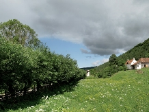 Casa de oaspeti Zalan - alloggio in  Harghita Covasna (11)