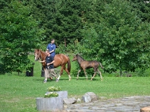 Hanul Anselmo - alloggio in  Harghita Covasna (06)