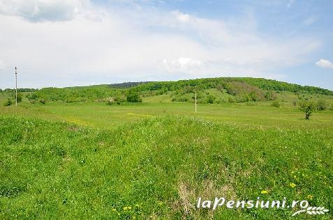 Hanul Anselmo - accommodation in  Harghita Covasna (Surrounding)