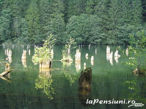 Pensiunea 7 flori - alloggio in Harghita Covasna, Lacu Rosu (Attività e i dintorni) Pensiunea 7 flori - alloggio in Harghita Covasna, Lacu Rosu (Attività e i dintorni)