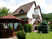 Casa Diana - accommodation in  Sovata - Praid (07)