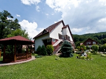 Casa Diana - accommodation in  Sovata - Praid (08)