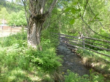 Casele de oaspeti Hunor Magor - alloggio in  Harghita Covasna, Odorhei (19)