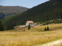 Pensiunea Bellamy - accommodation in  Sibiu Surroundings, Motilor Country, Transalpina (18)