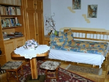 Casa Costea - accommodation in  Sighisoara (10)