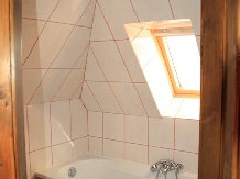 Pensiunea Lelila Inn - cazare Sighisoara (08)