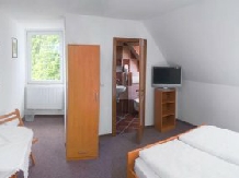 Vila Alpin - accommodation in  Harghita Covasna (08)