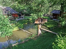 Vila Moeciu-Bucegi - alloggio in  Rucar - Bran, Moeciu (17)