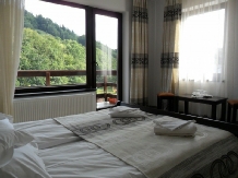 Pensiunea Curtea Braneana - accommodation in  Rucar - Bran, Moeciu, Bran (04)