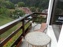 Pensiunea Curtea Braneana - accommodation in  Rucar - Bran, Moeciu, Bran (13)