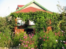 Pensiunea Festina Lente - accommodation in  Black Sea (15)