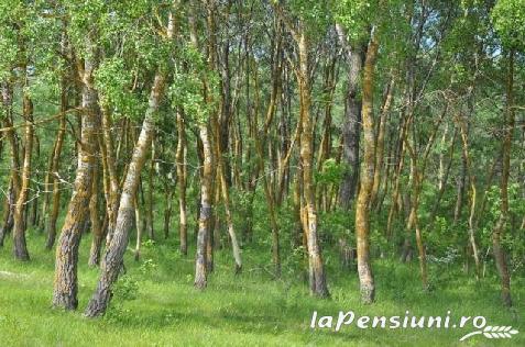 Pensiunea Solunar - accommodation in  Danube Delta (Surrounding)