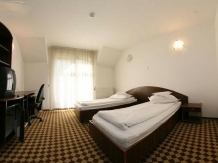 Vila Cornelia - accommodation in  Transylvania (03)