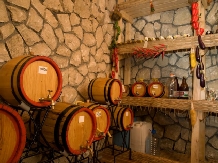 Casa Sara - cazare Valea Prahovei (19)