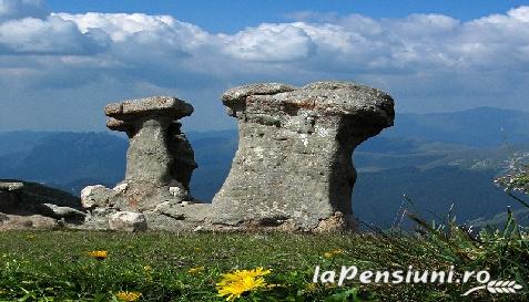 Casa Sara - alloggio in  Valle di Prahova (Attivit&agrave; e i dintorni)