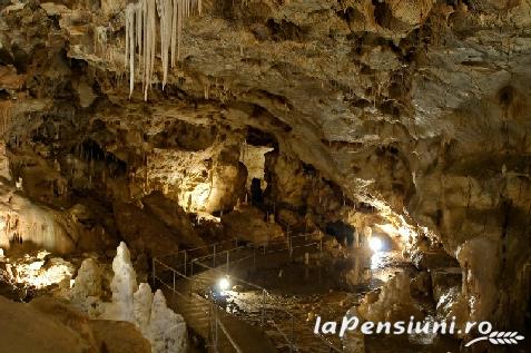 Pensiunea Podul Craiului - cazare Rucar - Bran, Piatra Craiului, Tara Muscelului (Activitati si imprejurimi) Pensiunea Podul Craiului - cazare Rucar - Bran, Piatra Craiului, Tara Muscelului (Activitati si imprejurimi)