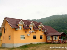 Rural accommodation at  Pensiunea Cerbul