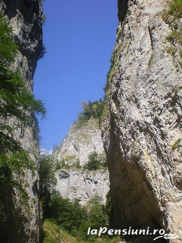 Casa Elim - cazare Rucar - Bran, Piatra Craiului, Rasnov (Activitati si imprejurimi)