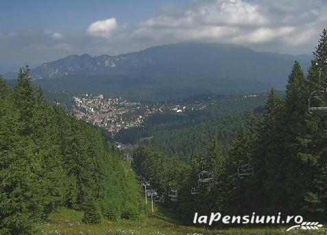 Casa Elim - cazare Rucar - Bran, Piatra Craiului, Rasnov (Activitati si imprejurimi)