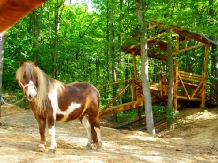 Pensiunea Stejarul - alloggio in  Valea Buzaului (15)