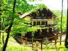 Pensiunea Stejarul - accommodation in  Buzau Valley (17)