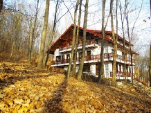 Pensiunea Stejarul - accommodation in  Buzau Valley (19)