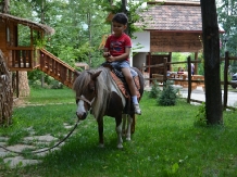 Pensiunea Stejarul - alloggio in  Valea Buzaului (23)