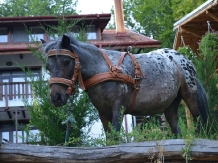 Pensiunea Stejarul - alloggio in  Valea Buzaului (24)