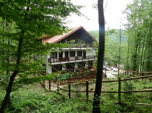 Pensiunea Stejarul - alloggio in  Valea Buzaului (25)
