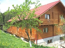 Pensiunea Hanul Lupilor - accommodation in  Harghita Covasna (06)
