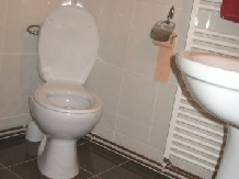 Pensiunea Hanul Lupilor - accommodation in  Harghita Covasna (21)