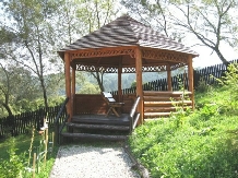 Pensiunea Hanul Lupilor - accommodation in  Harghita Covasna (29)