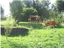 Pensiunea Hanul Lupilor - accommodation in  Harghita Covasna (30)