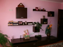 Casa Afetelor - alloggio in  Moldova (06)