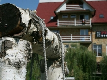 Casa Afetelor - alloggio in  Moldova (14)