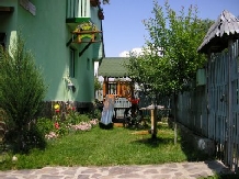 Pensiunea Panorama - accommodation in  Harghita Covasna, Tusnad (11)