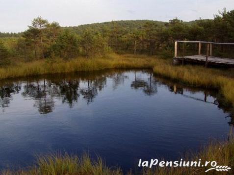 Pensiunea Panorama - cazare Harghita Covasna, Tusnad (Activitati si imprejurimi)