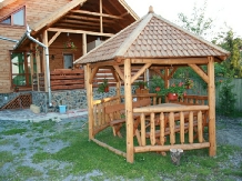 Pensiunea Borostyan - accommodation in  Harghita Covasna, Lacu Rosu (25)