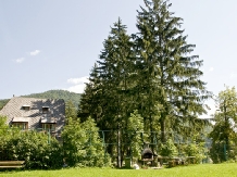Vila Camelia - accommodation in  Prahova Valley (15)