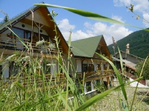 Pensiunea Marina - accommodation in  Prahova Valley (10)