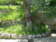 Pensiunea Marina - accommodation in  Prahova Valley (16)