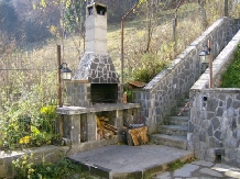 Pensiunea Marina - accommodation in  Prahova Valley (26)